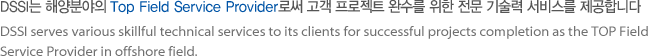 DSSI serves various skillful technical services to its clients for successful projects completion as the TOP Field Service Provider in offshore field.